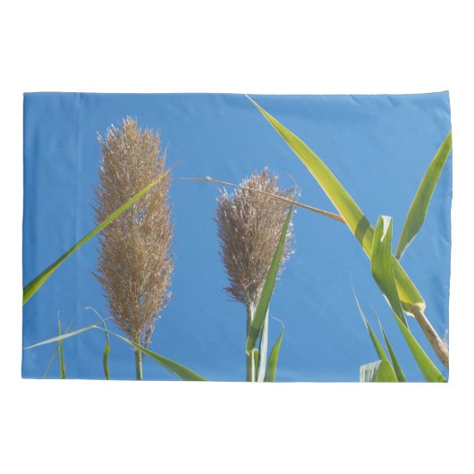 Housse D'oreillers Caisse faite sur commande standard de coussin (Dos)