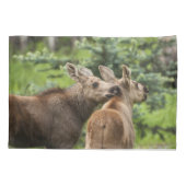 Housse D'oreillers Calves d'orignal (Dos-gauche)