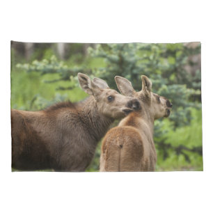 Housse D'oreillers Calves d'orignal