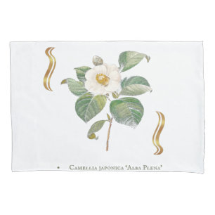 Housse D'oreillers Camellia japonica 'Alba Plena' 