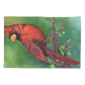 Housse D'oreillers Cardinal Coussin Coque (Dos)