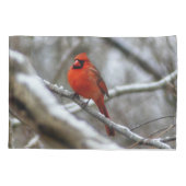 Housse D'oreillers Cardinal masculin (Dos)