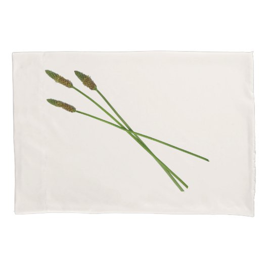 Housse D'oreillers Carl Doddy (devant-gauche)