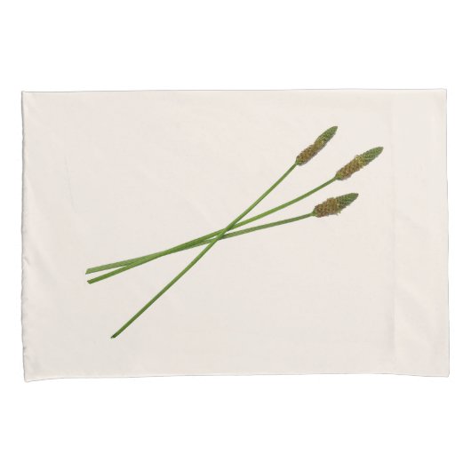 Housse D'oreillers Carl Doddy (devant-Droit)