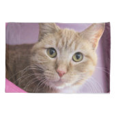 Housse D'oreillers Cat (Dos)