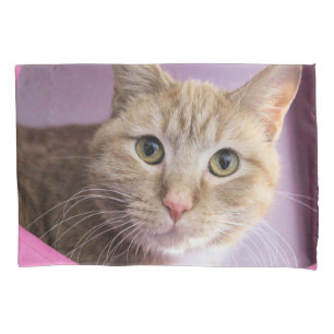 Housse D'oreillers Cat