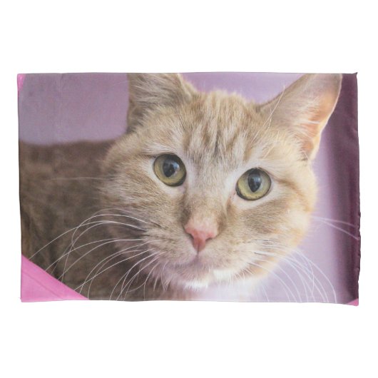 Housse D'oreillers Cat (devant)