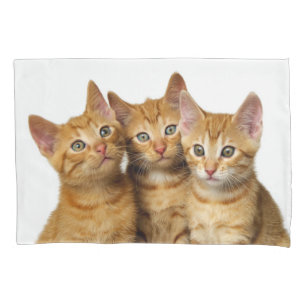 Housse D'oreillers Cat Kittens, trois mignons gingembre Photo de la t