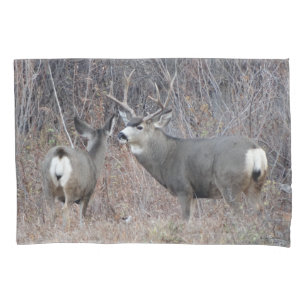 Housse D'oreillers Cerf mulet mâle et femelle D29