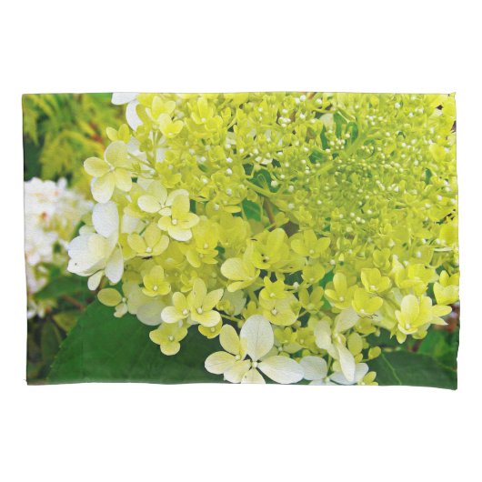 Housse D'oreillers Chartreuse Vert, Limelight Hydrangea, (devant)