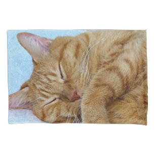 Housse D'oreillers Chat à gingembre couché