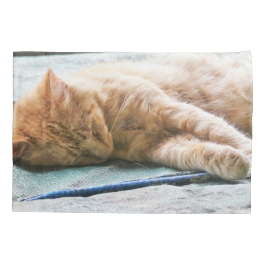 Housse D'oreillers Chat au gingembre Longhé (Dos)