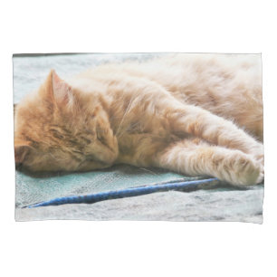 Housse D'oreillers Chat au gingembre Longhé
