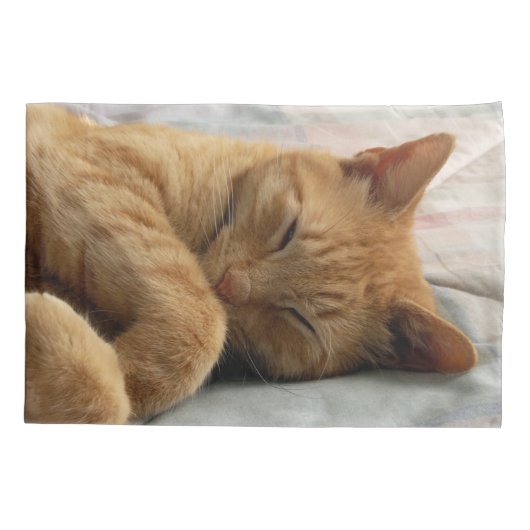 Housse D'oreillers Chat de Ginger (Dos)