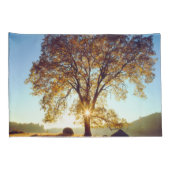 Housse D'oreillers Chênes noirs| Cleveland National Forest, CA (Dos-Droit)