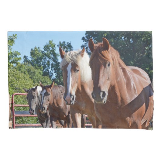 Housse D'oreillers Chevaux dirigés de nouveau à la grange (devant)
