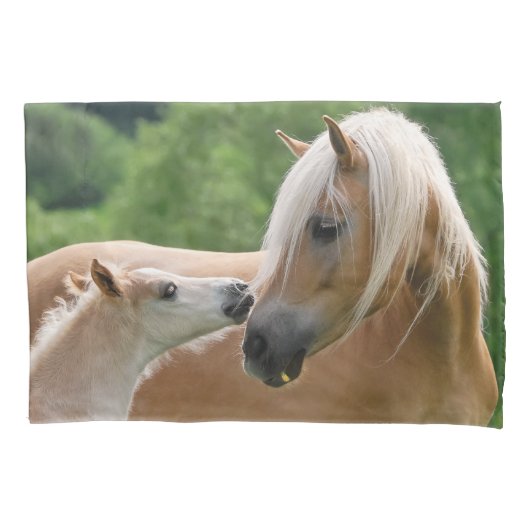Housse D'oreillers Chevaux poulain de Haflinger et Coussin-Couverture (devant)