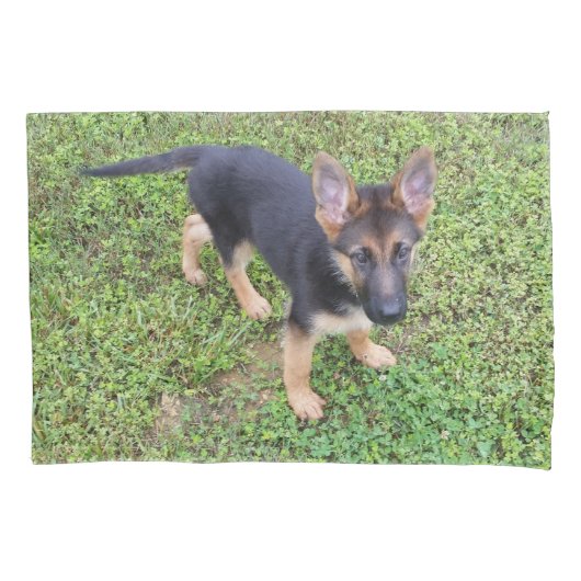 Housse D'oreillers Chiot protégé (devant)