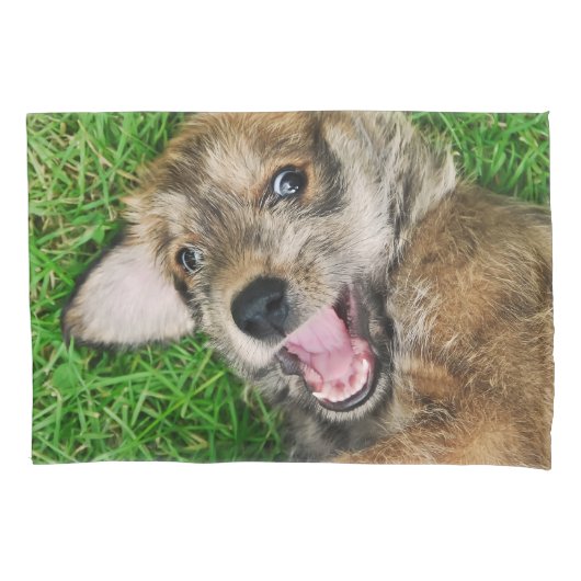 Housse D'oreillers Chiot riant Pillowcover drôle de Berger Picard de (devant)