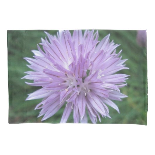 Housse D'oreillers Coque Coussin (devant)