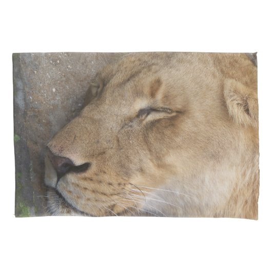 Housse D'oreillers coque coussin de lionne endormi (devant)