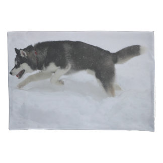 Housse D'oreillers Coque Coussin Husky