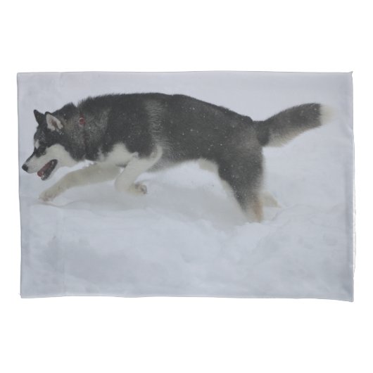 Housse D'oreillers Coque Coussin Husky (devant)