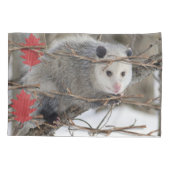 Housse D'oreillers Coque coussin Opossum Nature (Dos)