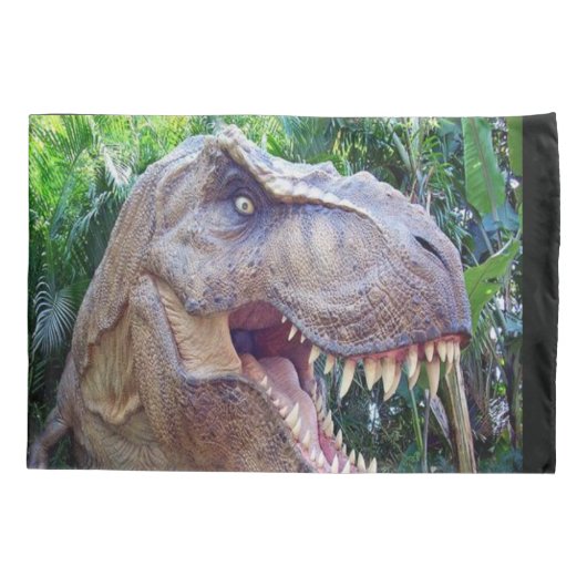 Housse D'oreillers Coques coussins Dinosaur pour enfants CH (Dos)