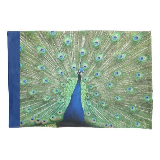 Housse D'oreillers Coques coussins - Fière Peacock (devant)