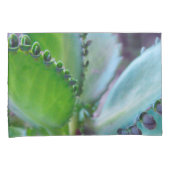 Housse D'oreillers Couleurs Kalonchoe (devant-Droit)