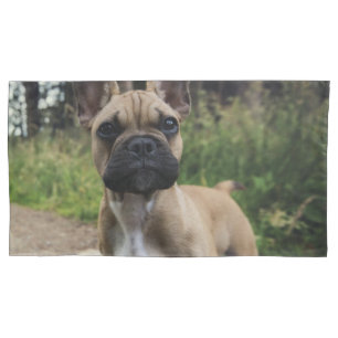 Housse D'oreillers Coussin de lancer Bouledogue Français