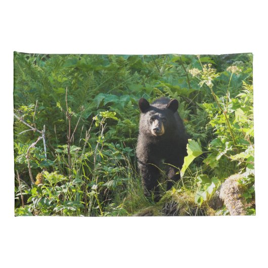 Housse D'oreillers Curieux ours noir (Dos-Droit)