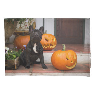 Housse D'oreillers Cutest Baby Animals French Bulldog Halloween
