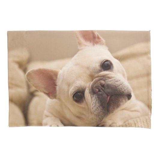 Housse D'oreillers Cutest Baby Animals | French Bulldog Head Tilt (devant)