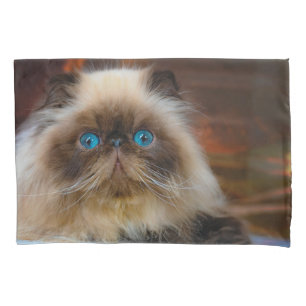 Housse D'oreillers Cutest Baby Animals   Himalayan Cat