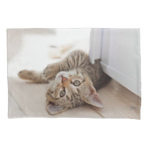 Housse D'oreillers Cutest Baby Animals Shorthair Tabby Kitten