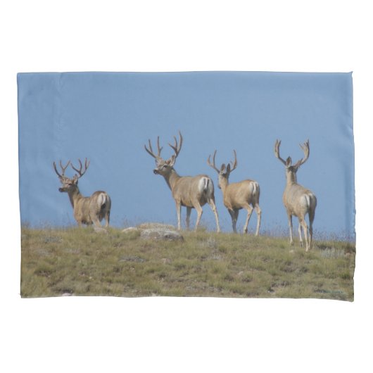 Housse D'oreillers D9 Mule Deer Bucks à Velvet Sky Lined (devant)