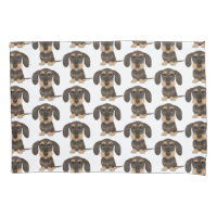 Dachshund À poils durs| Teckel Chien mignon