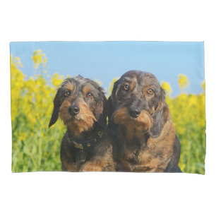 Housse D'oreillers Deux Chiens Dachshund Cute Dackel Photo Coussin Co