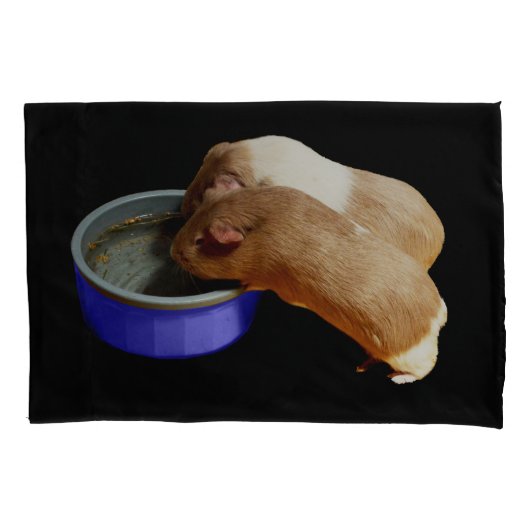 Housse D'oreillers Deux Cochons De Guinée Brown Et Blancs, (devant)