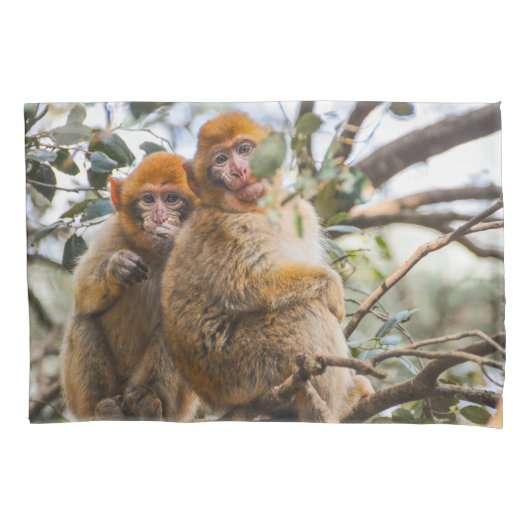 Housse D'oreillers Deux Mignons singes (devant)