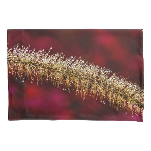 Housse D'oreillers Dew du matin (devant)