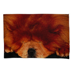 Housse D'oreillers Dormir Chow Chow
