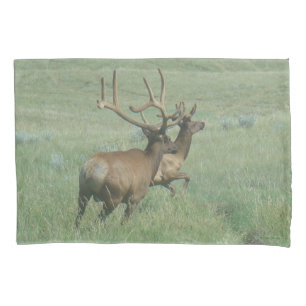 Housse D'oreillers Elk taureau E56 en velours