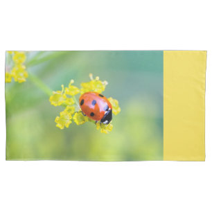 Housse D'oreillers femme au sommet