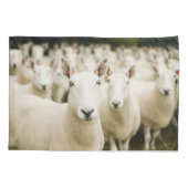 Housse D'oreillers Fermes | Troupeau de moutons (Dos)