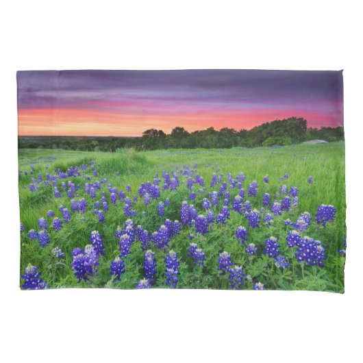Housse D'oreillers Fleurs | Bluebonnets à Sunset Texas (devant)