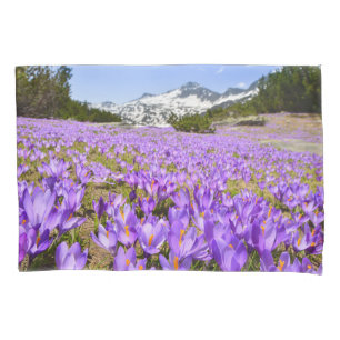 Housse D'oreillers Fleurs Parc de montagne de Crocus Pirin Bulgarie