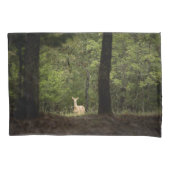 Housse D'oreillers Forest | A White Tailed Deer in the Woods (devant)